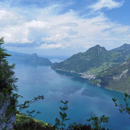 Solohike Mountainview Διαμέρισμα Seelisberg Εξωτερικό φωτογραφία