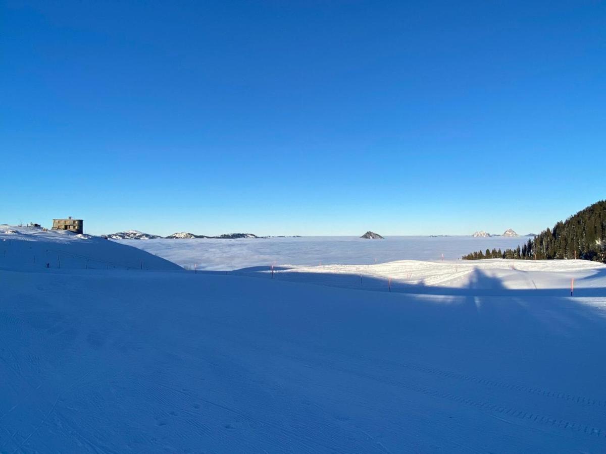 Solohike Mountainview Διαμέρισμα Seelisberg Εξωτερικό φωτογραφία